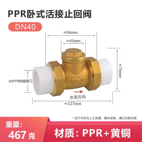 单向阀逆止自来水管表4/6分DN20/25/32PE止回阀PPR铜卧立式双活接
