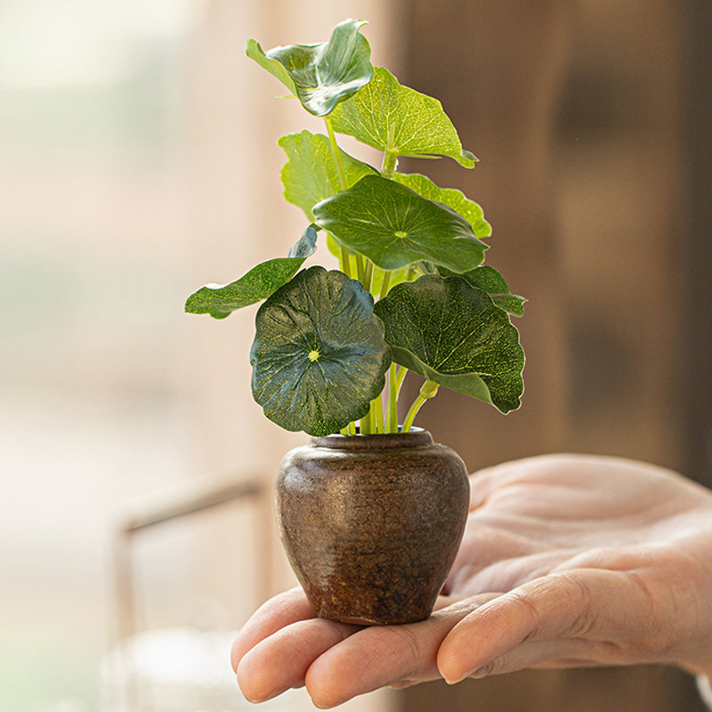 新中式复古粗陶小花器 陶瓷花瓶禅意绿萝铜钱草花插水养花器茶道