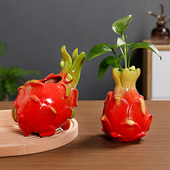 火龙果 橘子红红火火绿萝铜钱草花瓶家居桌面陶瓷水培花器摆件