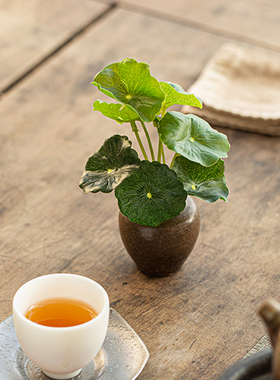 新中式创意复古花瓶茶道