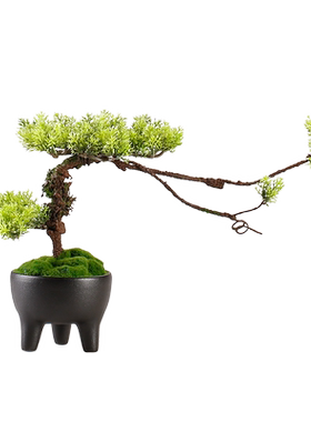 新款创意盆栽花瓶中式家居