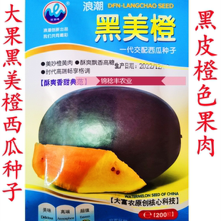 大富农黑美橙西瓜种子黑美金黑皮黄壤西瓜种籽春季香瓜甜瓜蔬菜籽