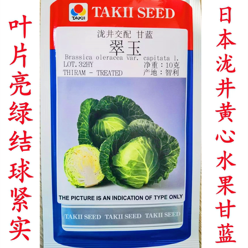 日本泷井翠玉黄心水果甘蓝黄芯松软暄菜早熟寿甘泽鸿韩绿种子籽孑