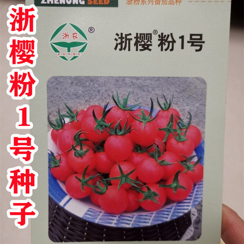 浙樱粉1号8号番茄种子浙樱粉一号粉红樱桃番茄小番茄种子粉贝贝籽