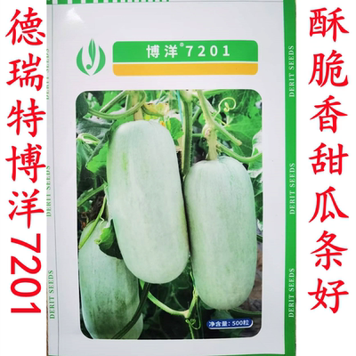 甜瓜种子酥脆香甜博洋7201