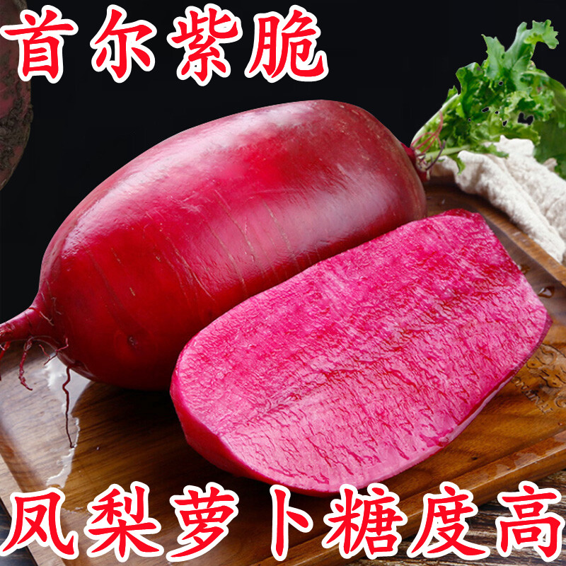 凤梨萝卜种子沙窝水果种籽秋冬季蔬菜种孑红萝卜菜籽种首尔紫脆