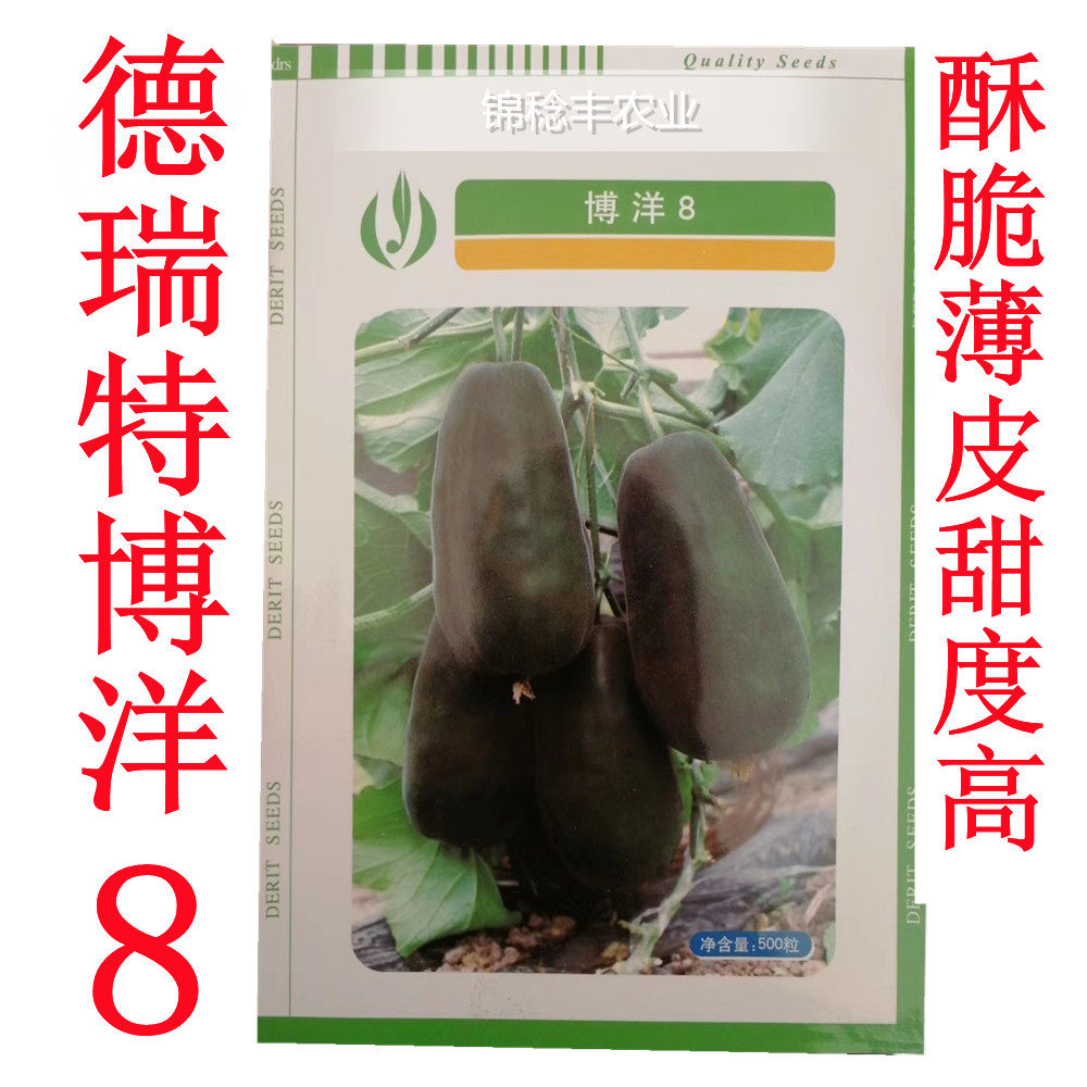 德瑞特博洋8号9号小可爱甜瓜香瓜甜瓜种籽黑皮齁甜水果种子籽孑
