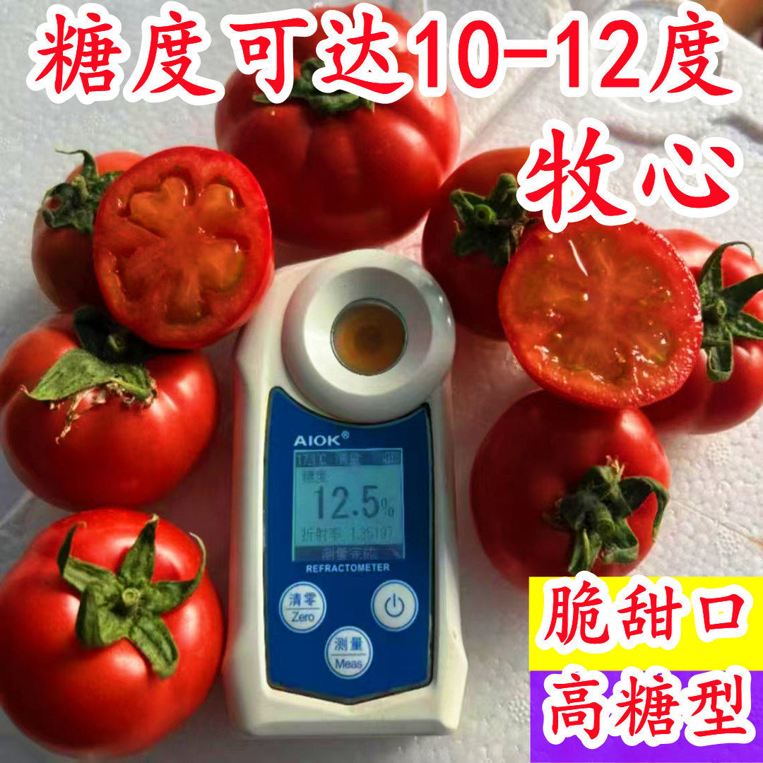 牧心高糖水果番茄草莓番茄京采8号铁皮柿子布莱妮老董种地种子籽,农用物资,蔬菜种子/种苗,淘宝优惠券,粉丝福利购,淘宝优惠卷