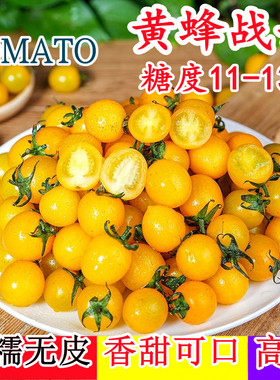 黄蜂战士高糖软糯黄色樱桃番茄圣女果梦想迷恋夏日阳光皇黄妃种子
