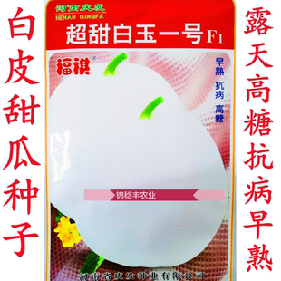 超甜白玉一号白沙蜜甜瓜种子薄皮白皮香甜瓜子春秋种植水果瓜籽