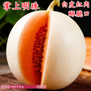 掌上明珠白沙蜜白皮红肉酥脆肉红心脆甜瓜香瓜红玉哈密瓜种子籽孑