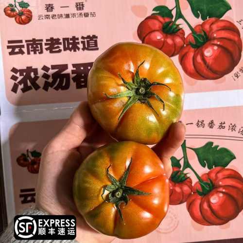 顺丰春一番浓汤番茄老品种炒菜水果牛排西红柿酸云南沙瓤老味道