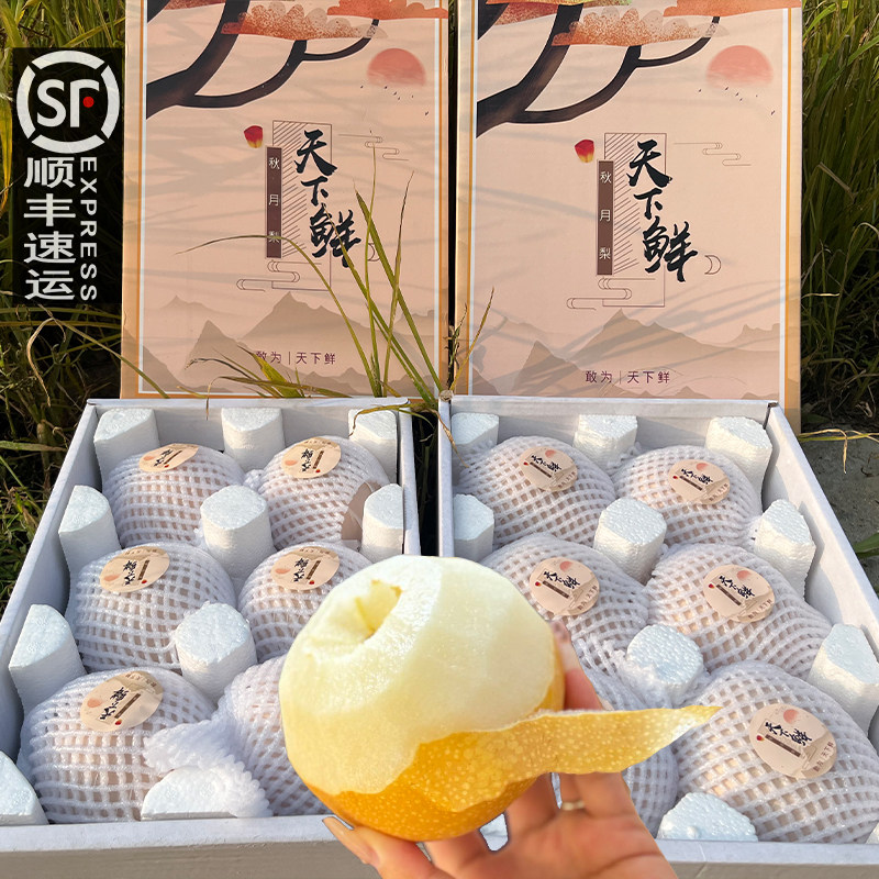 26年正宗山东莱阳秋月梨礼盒新鲜梨子现摘甜脆冰糖梨天下鲜大果