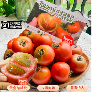 塔塔蜜番茄草莓西红柿生吃水果自然熟铁皮柿子新鲜现摘草莓云南高