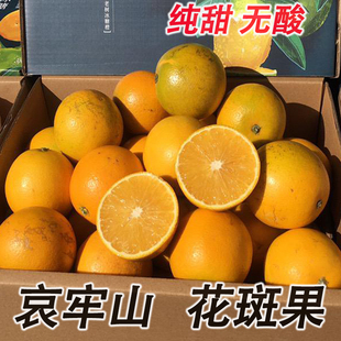 元江褚橙同枝花斑果非迦密山冰糖橙南蜂蜜黄皮哀牢山新鲜水果纯甜