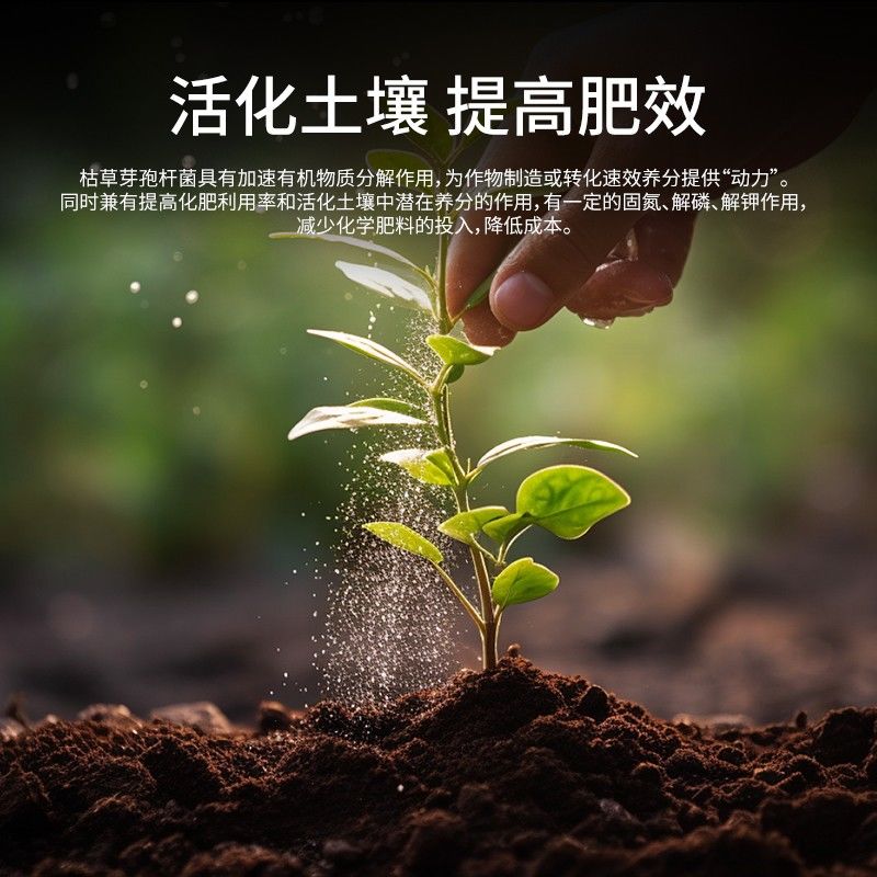 【拍一送一】枯草芽孢杆菌微生物菌剂改良土壤生根壮苗促进生根