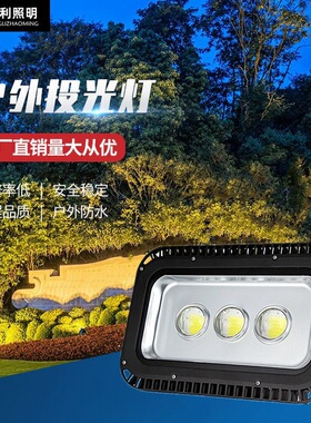 LED黑色隧道灯100W150W200W250W300大功率广场投光灯广告招牌灯