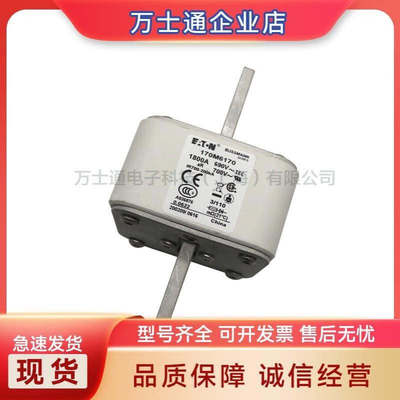 170M6138170M6139/6140/6141/6142/6143/6144/6145全新熔断器现货