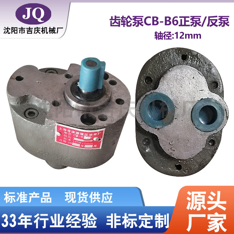 沈阳机床 大连CW6163BCW6180B叶片泵齿轮泵CB-B6 正泵 反泵 油泵