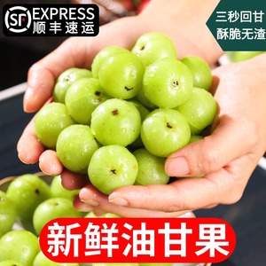 油柑果新鲜油甘余牛甘子现摘水果当季整箱橄榄酸孕妇水果整箱包邮