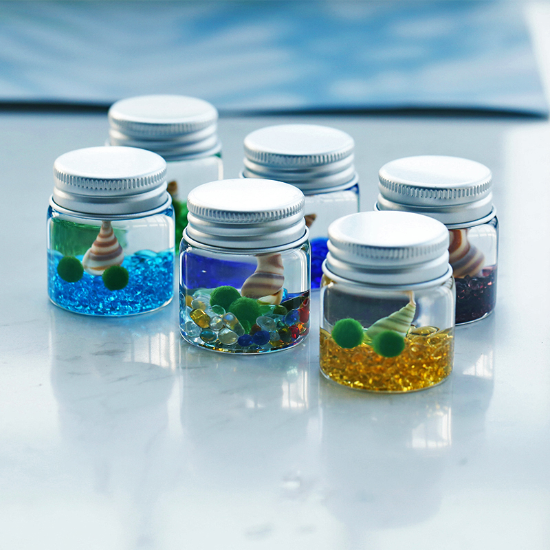 微景观生态瓶海藻球宠物marimo水藻绿植桌面迷你盆栽创意摆件礼物