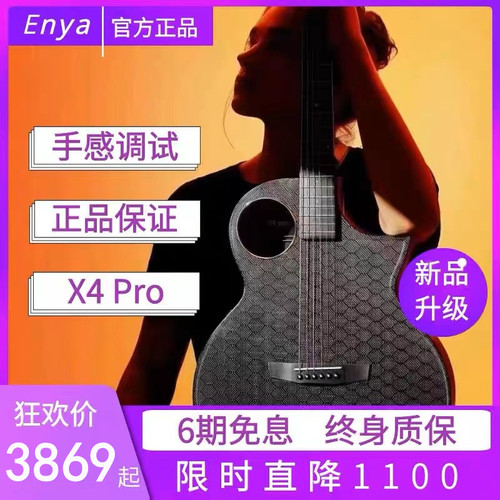碳纤维恩雅X4PRO电箱舞台初学