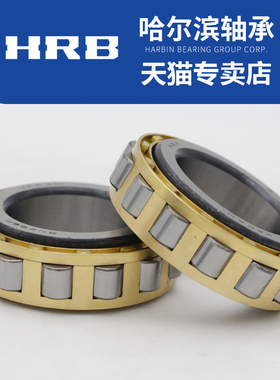 轴承 RN 307 308 309 310 311 312 313 M 偏心摆线针减速