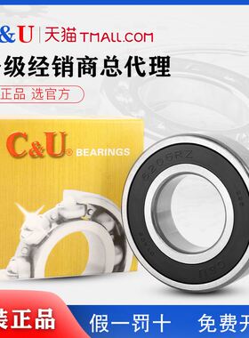 正品人本高速电机轴承6307 6308 6309 6310 6311 6312 6313 RZ RS