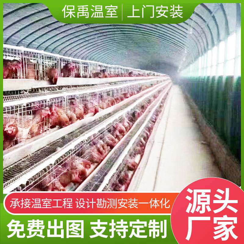 养殖大棚畜牧温室大棚保温单体大棚养鸡养鸭养鹅家禽温室大棚安装