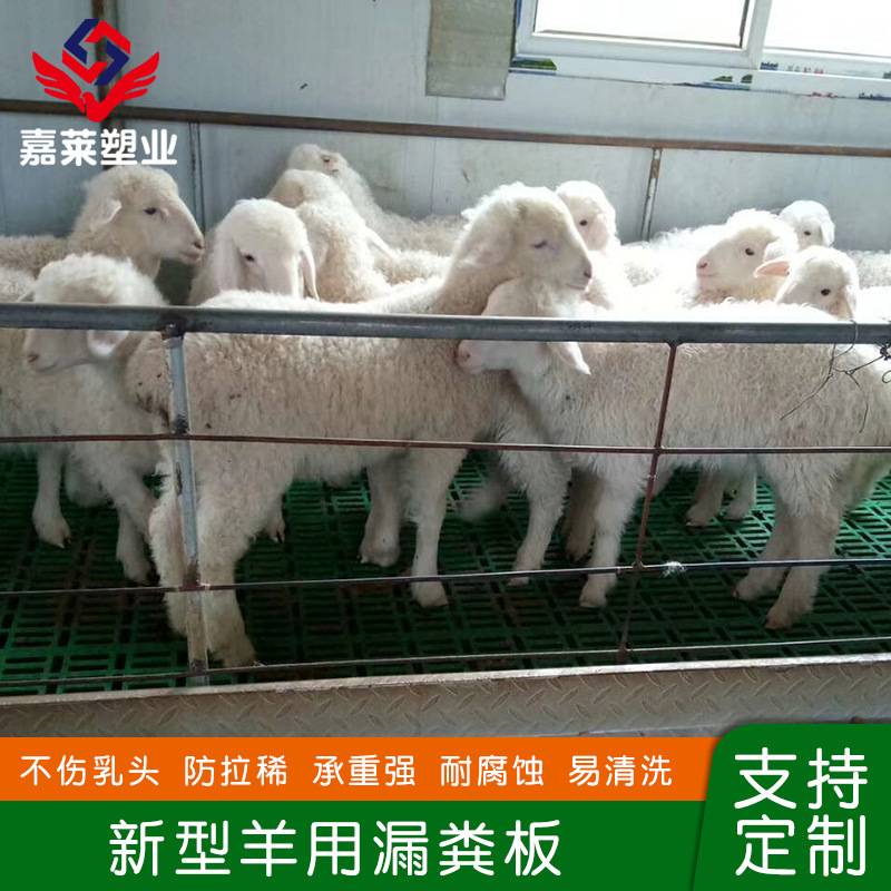 现货羊圈漏粪板 羊用漏粪板 养羊塑料羊床羊舍塑料接粪板养殖设.
