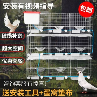 大号鸽子笼家用鸽棚鸽子笼网鸽子笼子家用养殖鸽子繁殖笼
