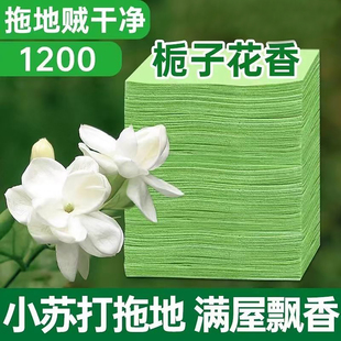 地板清洁片多效瓷砖强力去污家用擦地神器木地板地砖清洗剂地板B