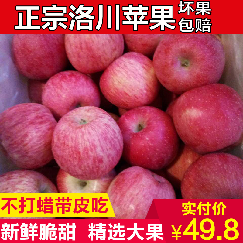 新鲜正宗延安冰糖心红富士苹果