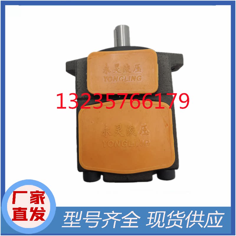 适用液压油泵pv2r1-4 6 8 10 12 14 17 19 23 25 28 31-f1