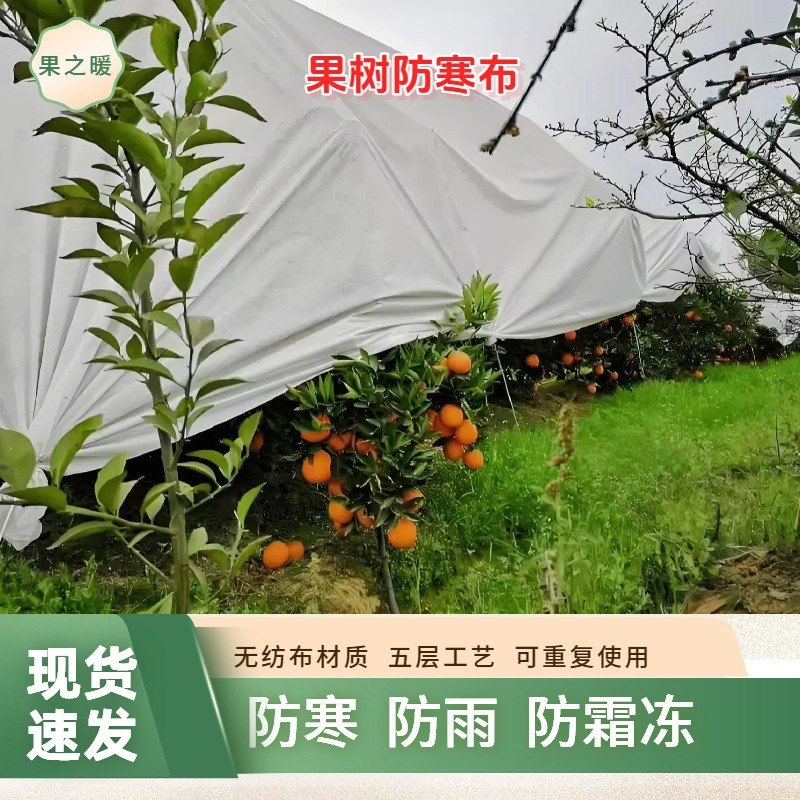 加厚无纺布防寒布果树农用防雨布