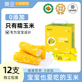 黄小主东北新鲜甜糯儿童玉米12支装 新玉米 2025双11现货