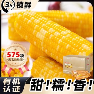 【2025新玉米】章小蕙推荐黄金十亩御园皇家精选东北有机糯玉米