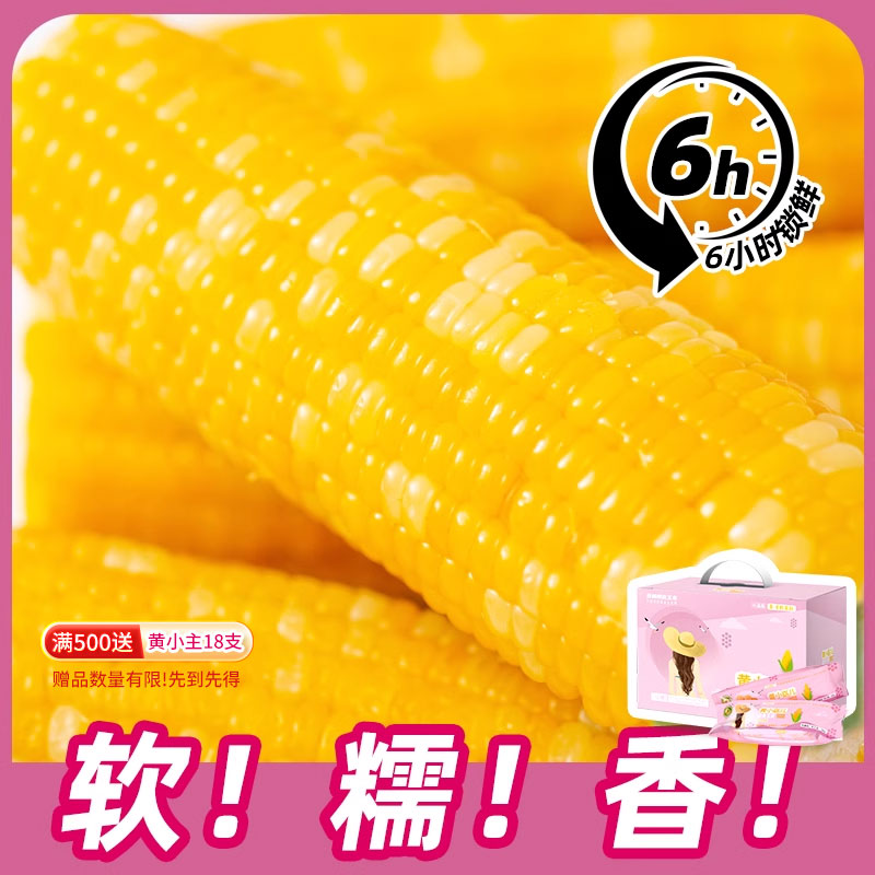 都市白领健康营养东北有机糯玉米