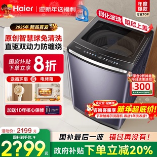 海尔波轮洗衣机家用精华洗全自动10kg双动力旗舰店 全国补贴20%
