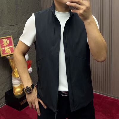 男士春季薄棉马甲气质立领