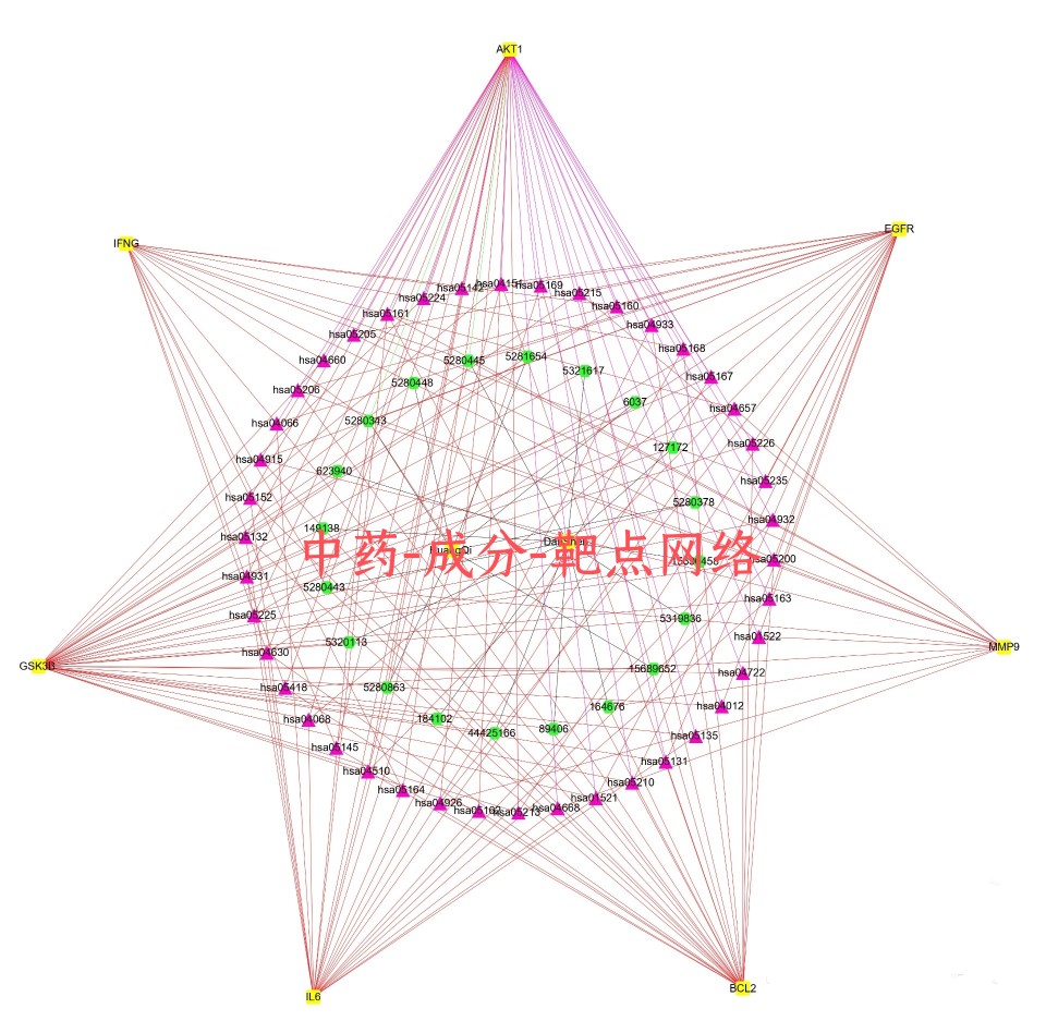 Cytoscape网络图绘制中药成分靶点网络构建