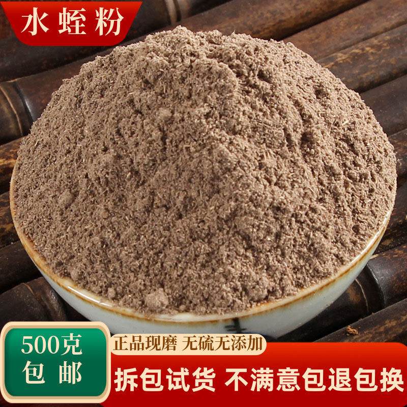 水蛭粉中药材蚂蟥粉大水蛭医用药