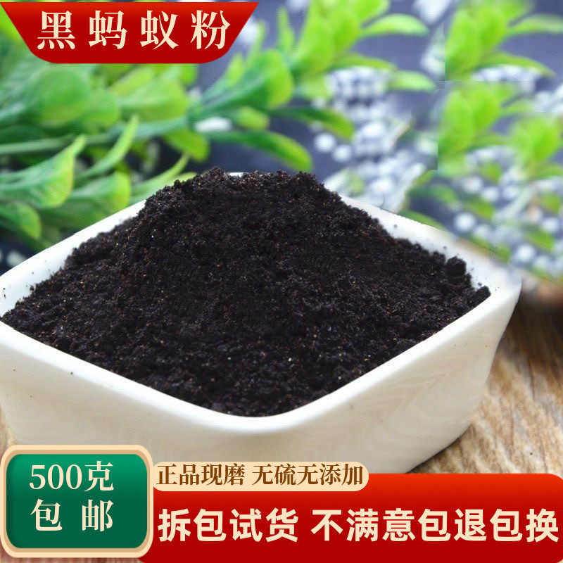 黑蚂蚁粉拟黑多刺蚁泡酒料大蚁酸