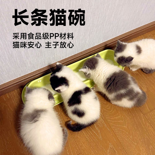 长条猫碗幼猫奶猫喂奶共吃盆多猫吃饭猫碗猫食盆猫咪防打翻喝水盆