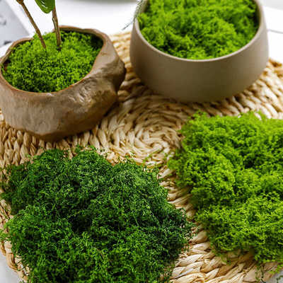 为微景观装饰而生仿真苔藓丝