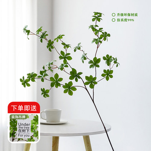 没人看出是假的~~高仿吊钟马醉木