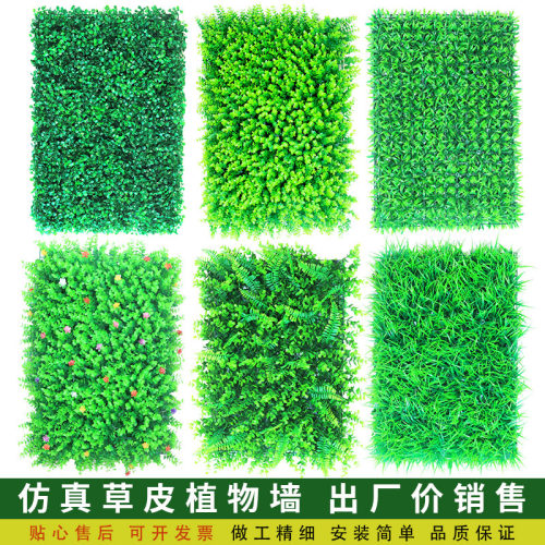 ~厂家直供~价格美丽~草皮草坪