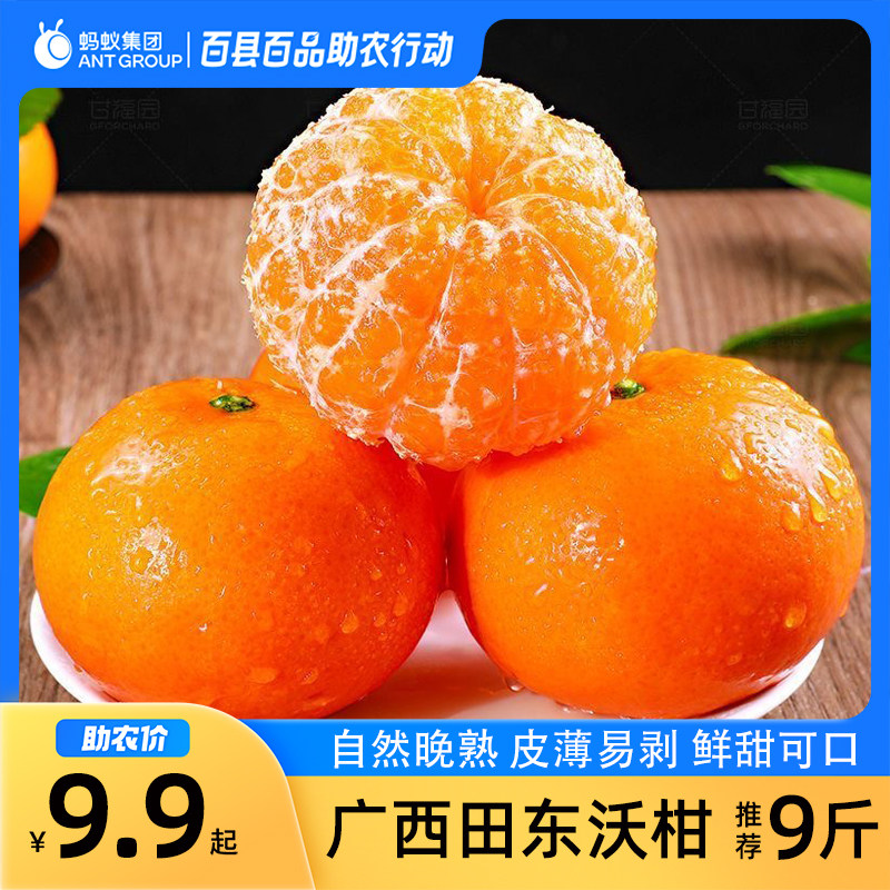 广西沃柑桔子橘子柑橘新鲜水果现摘现发农家自产直发应当季整箱,水产肉类/新鲜蔬果/熟食,桔子,淘宝优惠券,粉丝福利购,淘宝优惠卷