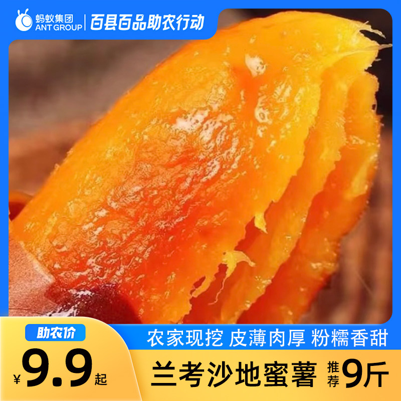 正宗河南沙地红薯番薯蜜薯地瓜红苕新鲜蔬菜现挖现发宝宝辅食整箱,水产肉类/新鲜蔬果/熟食,番薯,淘宝优惠券,粉丝福利购,淘宝优惠卷