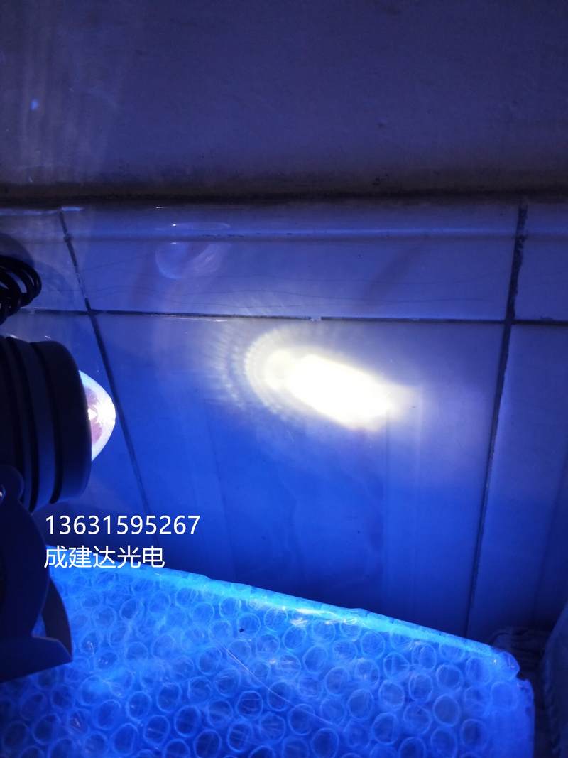 100w光效uv-led紫外线胶水固化灯 高能量点光源灯 聚光灯 鱼眼灯